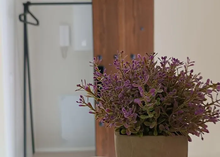 Sherryflat Catedral - Parking